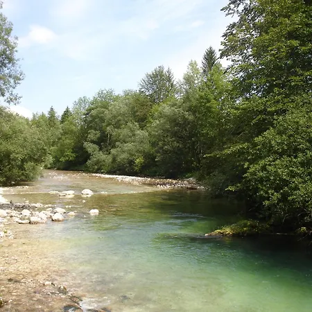 Bohinj *