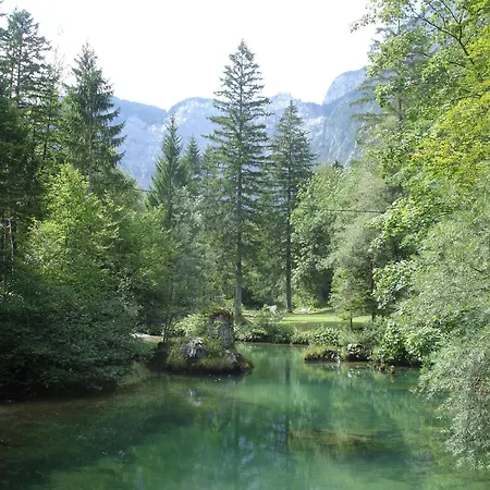 Apartament Bohinj *